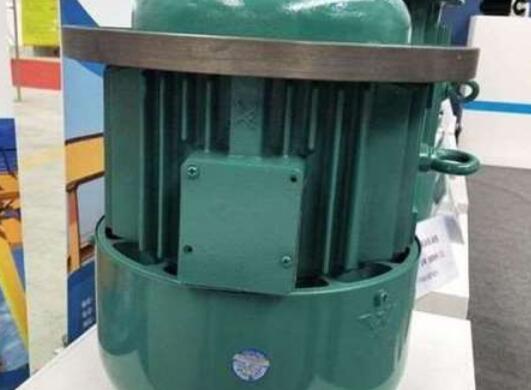 軸電流量對(duì)龍門(mén)吊電機(jī)的損壞有多大？
